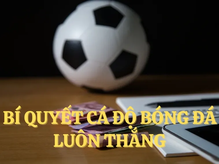Bí Quyết Thành Công Với Cá Cược Bóng Đá Good88 Trong Mọi Giải Đấu