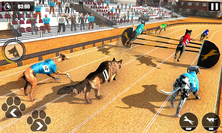 Bí Kíp Thắng Lớn Game Nhanh Đua Chó Tại Good88 Cho Người Mới